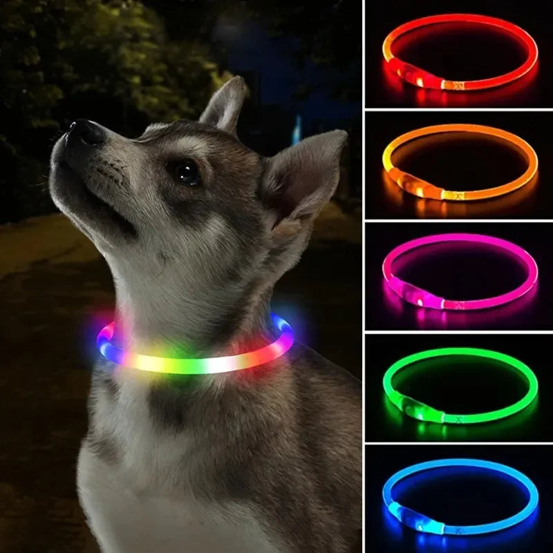 Pet Collar Luminous Usb Cat Dog Collar 3 Modes Led Light Glowing Loss Prevention Led Collar For Dogs Pet Dog Accessories