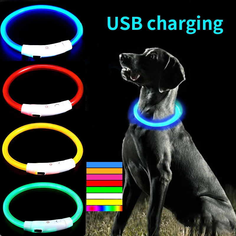 PVC LED Fiber Optic Dog Collar, USB Rechargeable Night Safety Light, Multi-Color, Available Pet Collar, 40 cm, 50 cm, 70cm, 1Pc