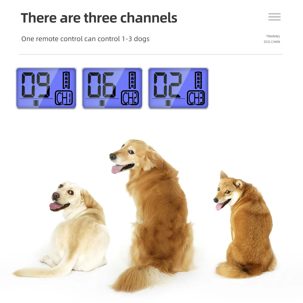 Coofull 800m Electric Waterproof Rechargeable Remote Control LED Pets Supply Products Smart USB Dog Training Collar