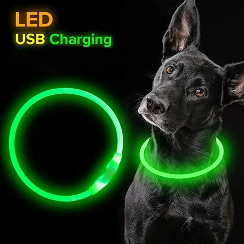 Pet Collar Luminous Usb Cat Dog Collar 3 Modes Led Light Glowing Loss Prevention Led Collar For Dogs Pet Dog Accessories