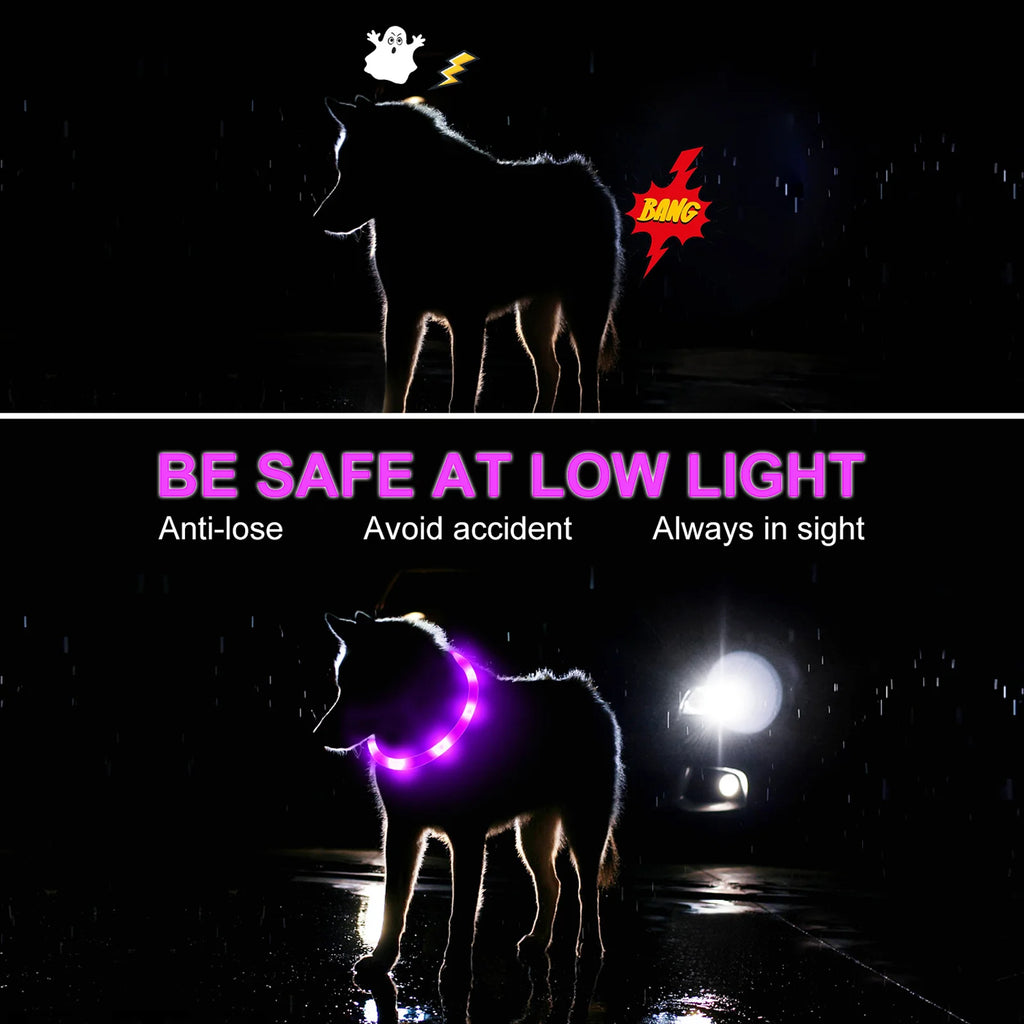 LED  Pet Collar with USB Rechargeable Safety Light for Dogs & Cats - Adjustable Safety,USB Charging Collar, 3 Light Modes (Vibra