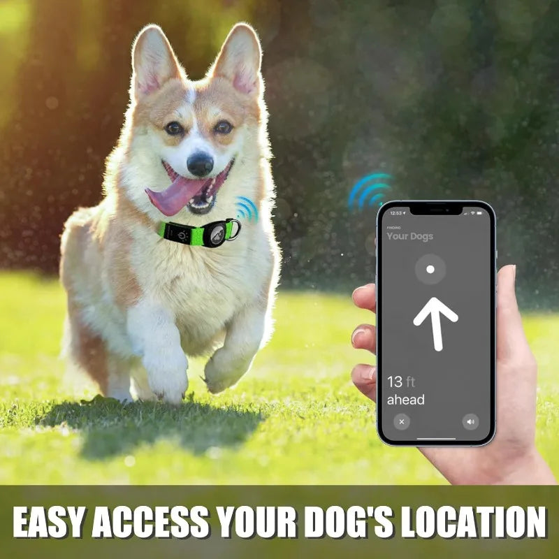 Led Luminous Heavy Duty Dog Collar with AirTag Case Rehargeable Adjustable Light Pet Collar for Small Medium Large Dogs New