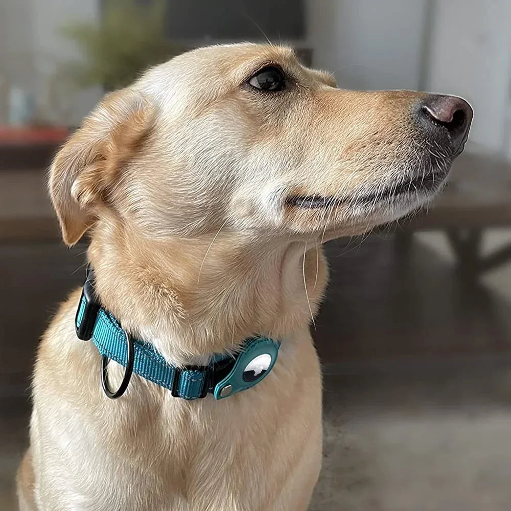 Airtags Holder Protection,Reflective Dog Collars with Neoprene Padding