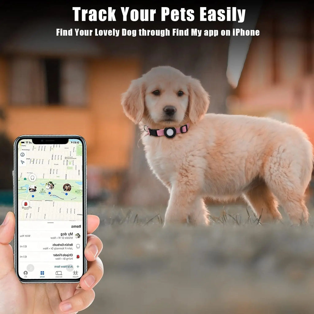 AIR TAG Collar Holder for Small Dogs