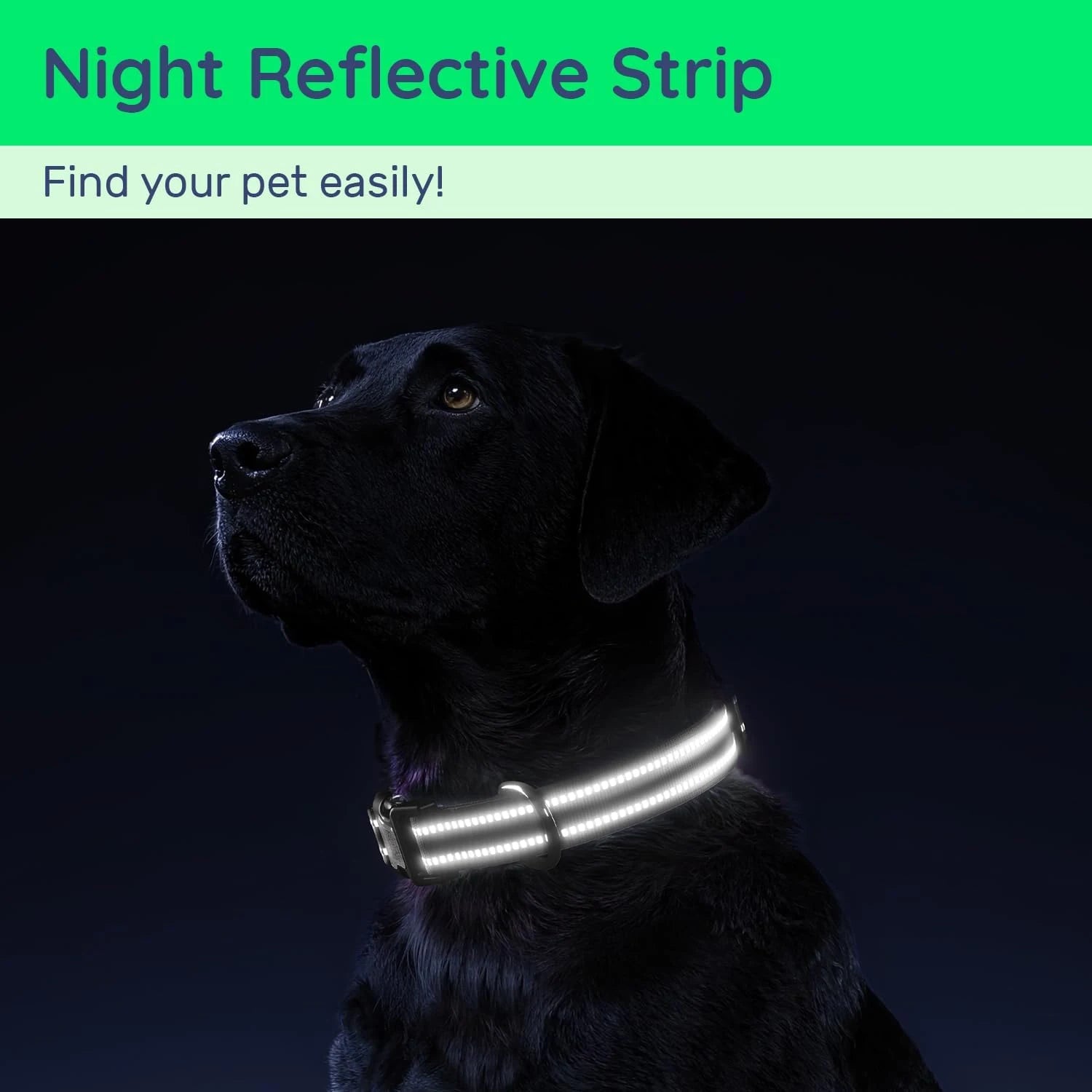 Waterproof Air Tag Dog Collar with AirTag Holder& QR Code, Reflective Soft Padded & Safety Buckle, AirTag Pet Collar for Dogs