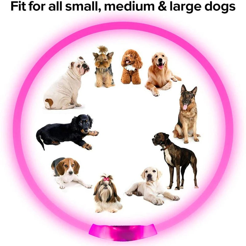 Led Dog Collar Luminous USB Glowing Cat Dog Collar 3 Modes Led Light Detachable Adjustable LED Collar Luminous Collar Anti-lost